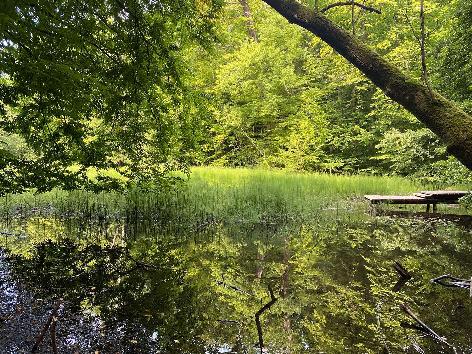 Zwischen Wildnis und Welterbe – Bild 4